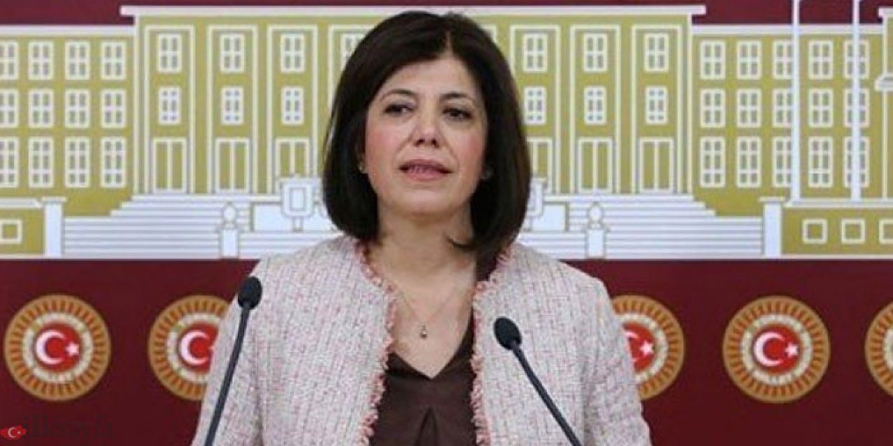 Meral Danış Beştaş kimdir? Meral Danış Beştaş kaç yaşında, nereli, mesleği ne?