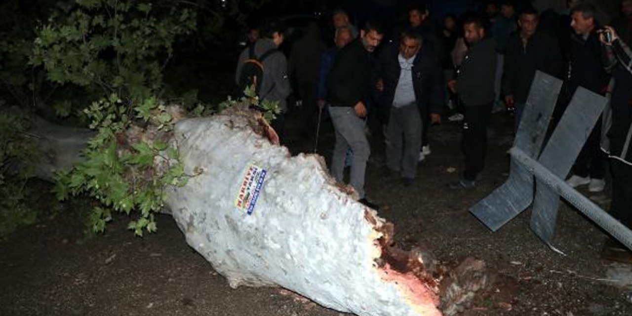 Depreme dayandı fırtınaya yenildi