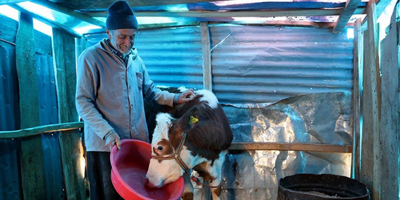 8 günün ardından gelen teselli