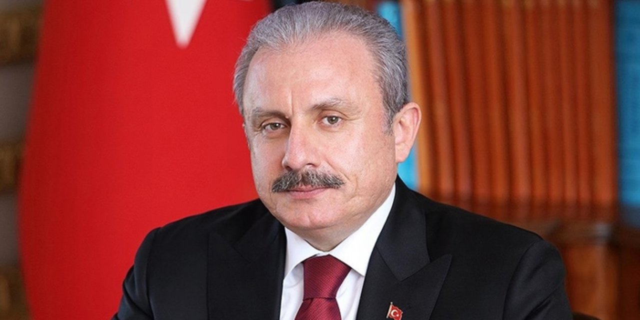 Şentop ve Koshanov görüştü