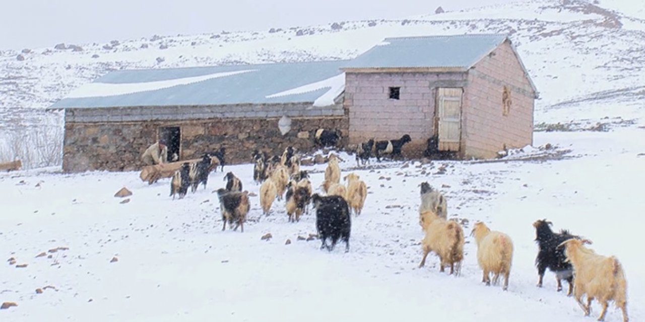 Kar yağışı otlatmaya engel oldu