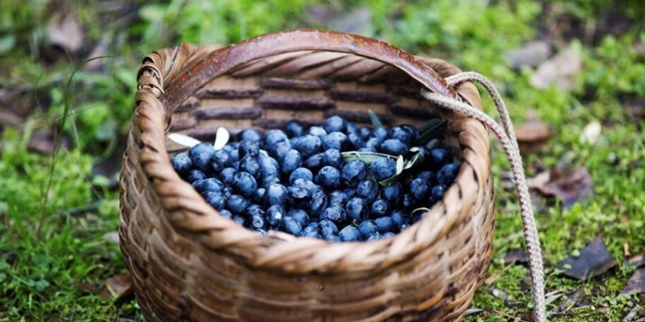 Türkiye coğrafi değerleri tescil için sırada