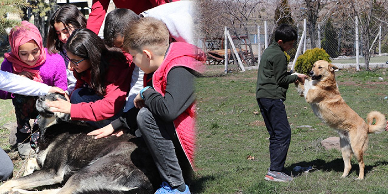 Ankara'da öğrencilerine hayvan sevgisini aşıladı