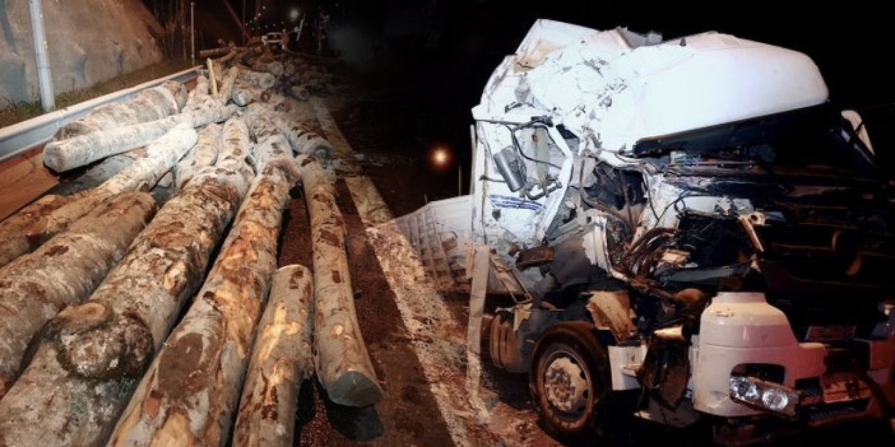 Tomruk yüklü iki kamyon çarpıştı