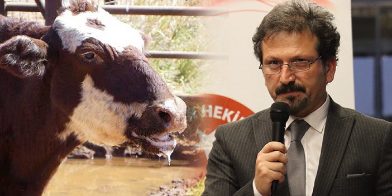 Prof. Dr. Arslan: Şap salgını kurban bayramını tehdit edebilir