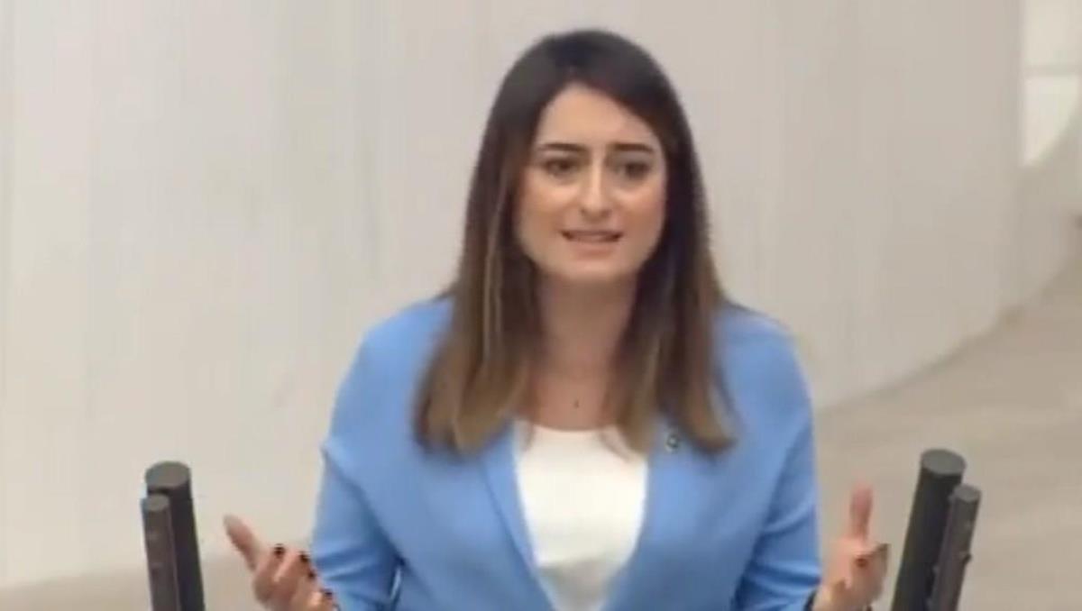 Aysu Bankoğlu Kimdir ? Aysu Bankoğlu nereli ve kaç yaşında?