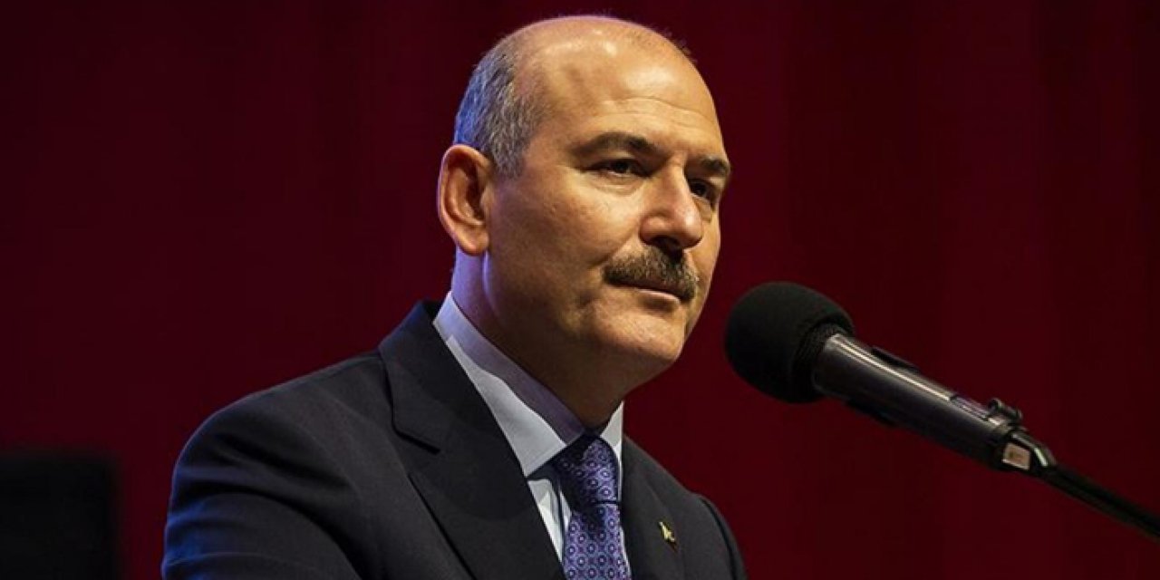 Soylu: Türkiye'nin iç siyasetine karışıyor