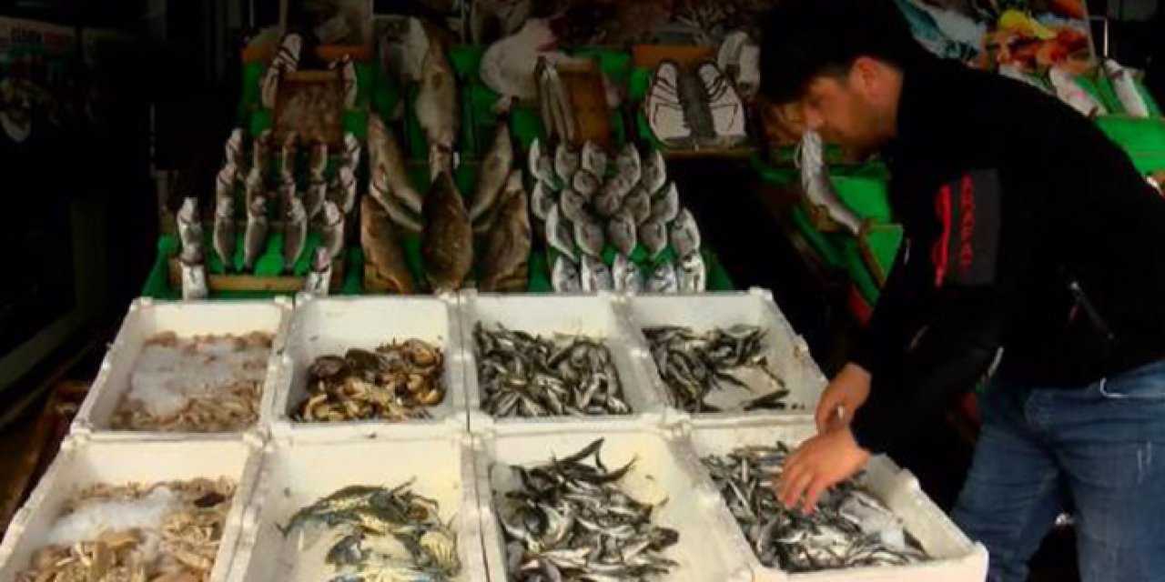 Marmara denizinde balıklar her yıl azalıyor