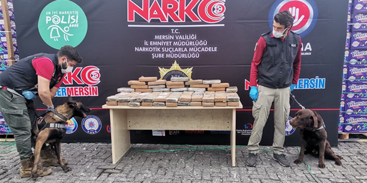 Mersin Limanı'nda kokain ele geçirildi