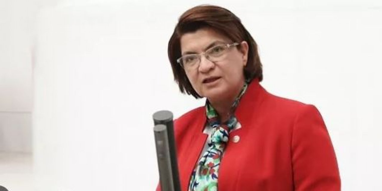 Suzan Şahin aday mı? Suzan Şahin hangi partiden aday?