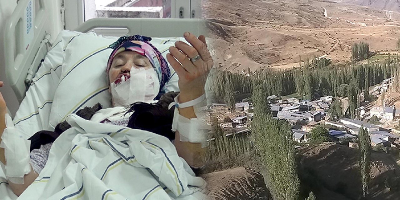 Erzurum'da kurt vahşeti: 1'i ağır 4 yaralı