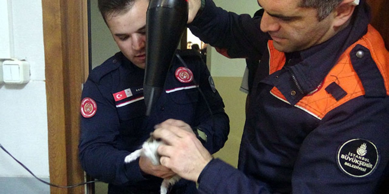 Avcılar’da yangın: 3 yavru kedi son anda kurtarıldı