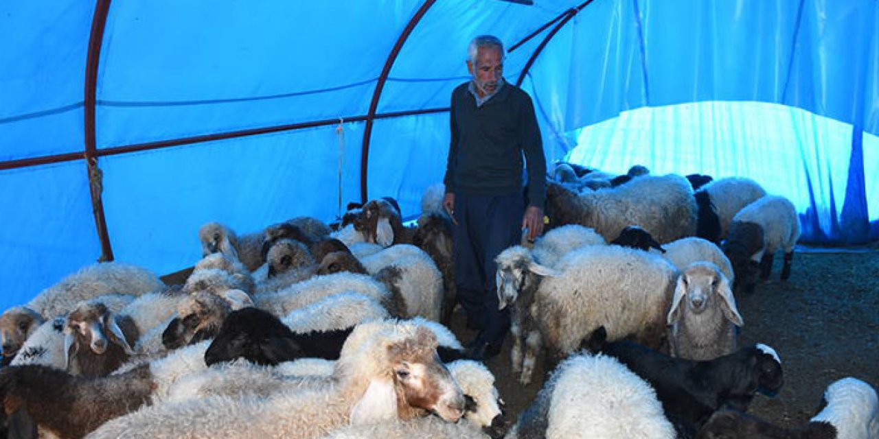 Besiciler desteklerle ayağa kalkıyor