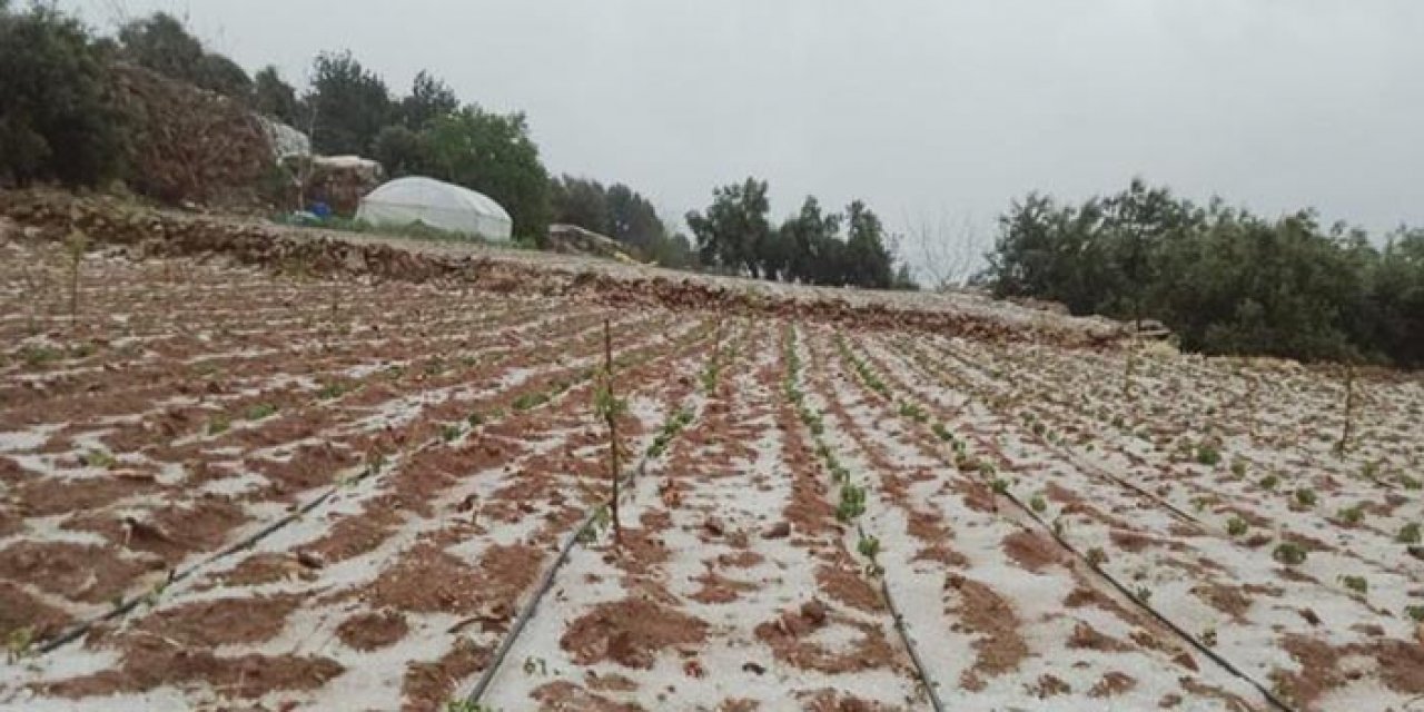 Dolu yağışı ekili alanları vurdu