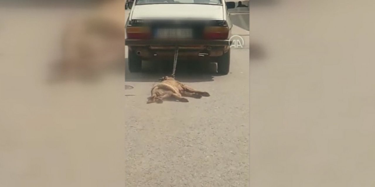 Köpeği otomobilin arkasında sürükledi