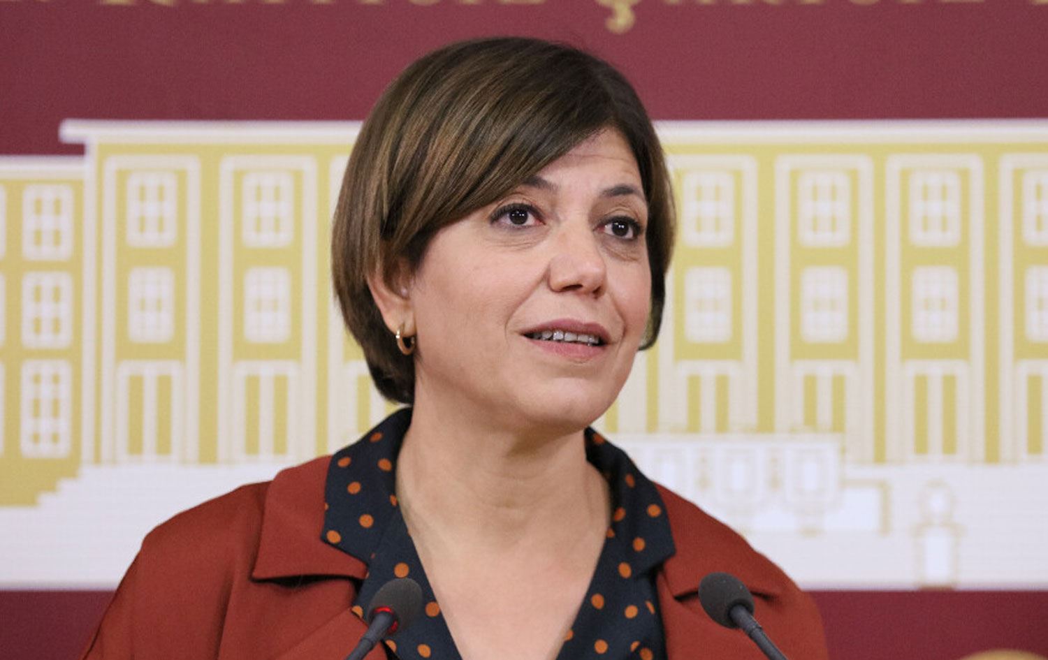 Meral Danış öldü mü? Meral Danış sağlık durumu nasıl? Meral Danış kimdir, nerelidir?