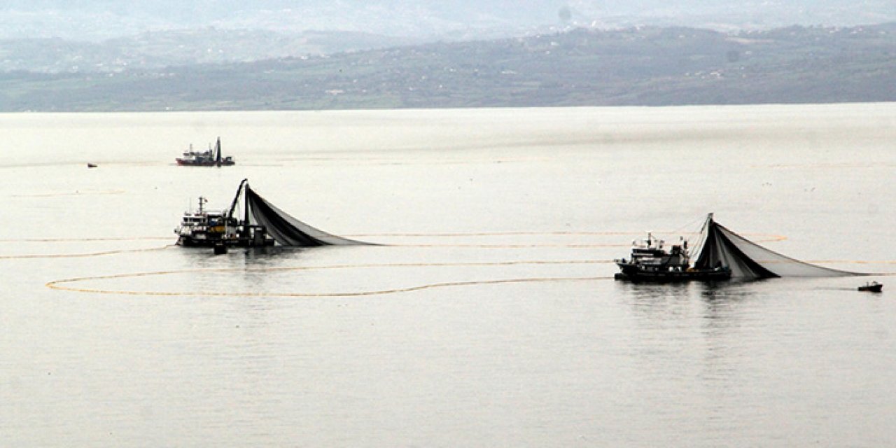 Palamut bol hamsi az