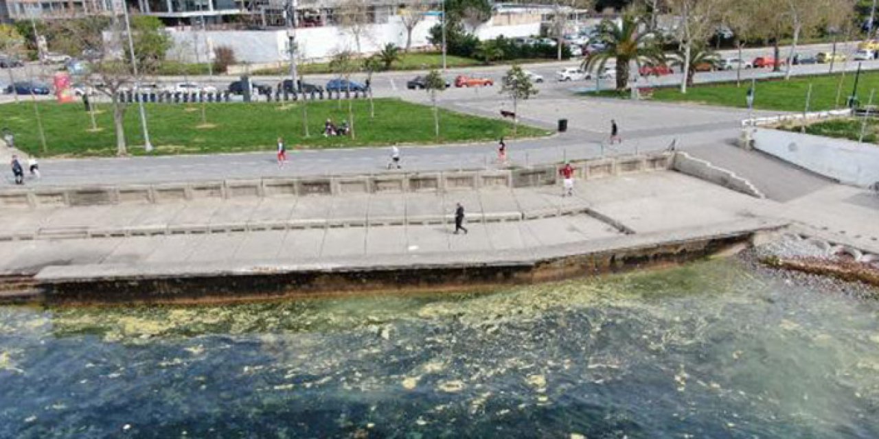 Marmara'da müsilaj tehlikesi