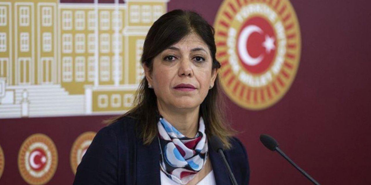 Meral Danış Beştaş kimdir? Meral Danış Beştaş kaç yaşında, nereli, mesleği ne?
