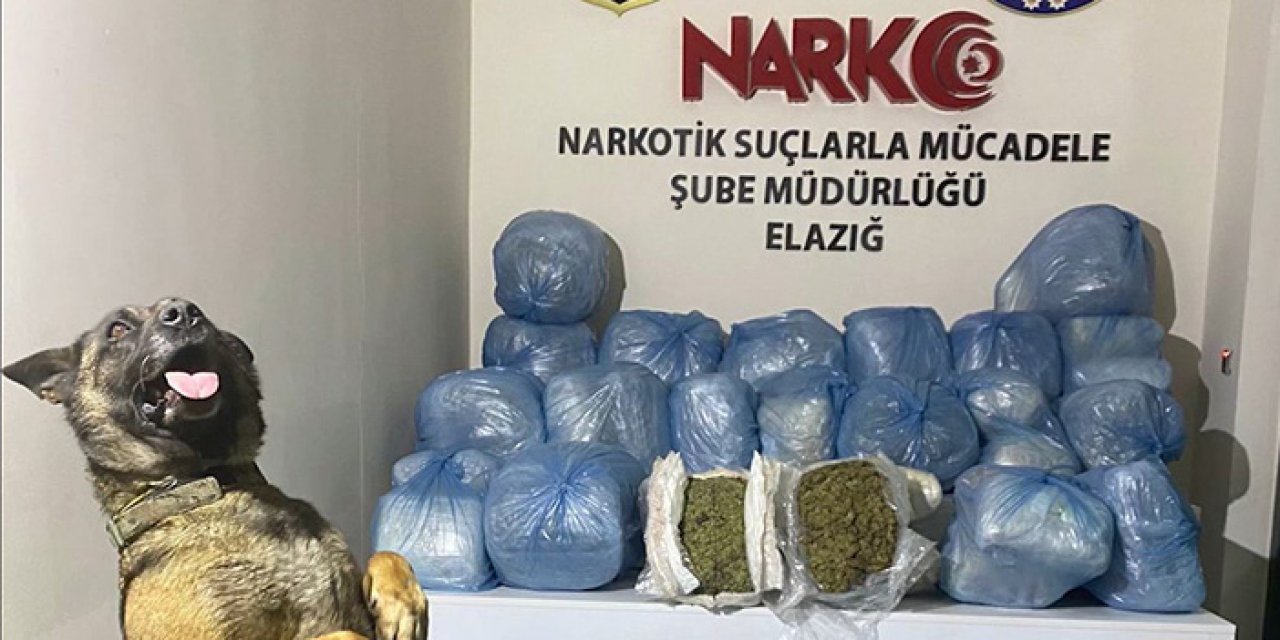Elazığ'da uyuşturucu operasyonu: 11 tutuklama