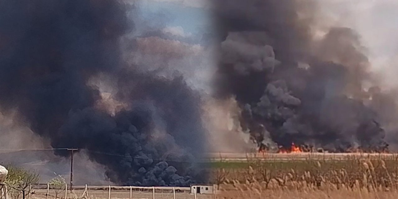 Kayseri'de milli parkta yangın: Rüzgâr alevleri büyüttü