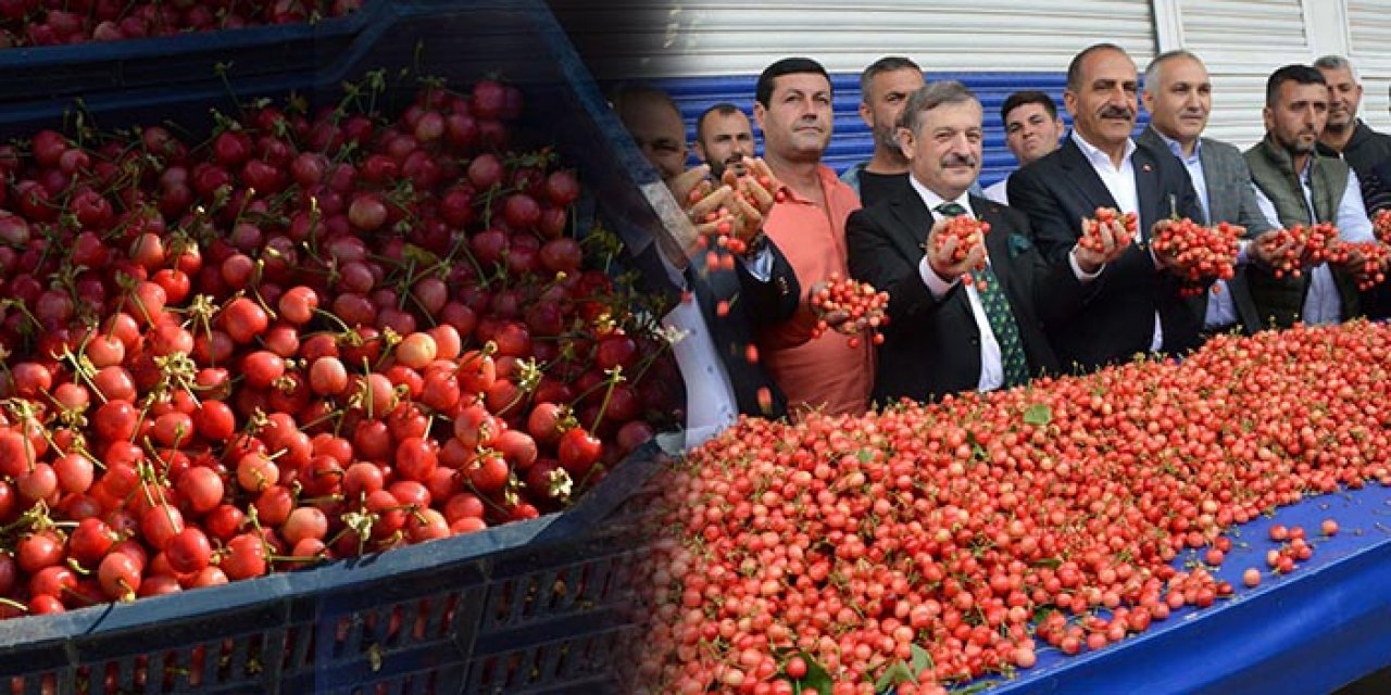 Sezonun ilk kirazı rekor fiyata satıldı