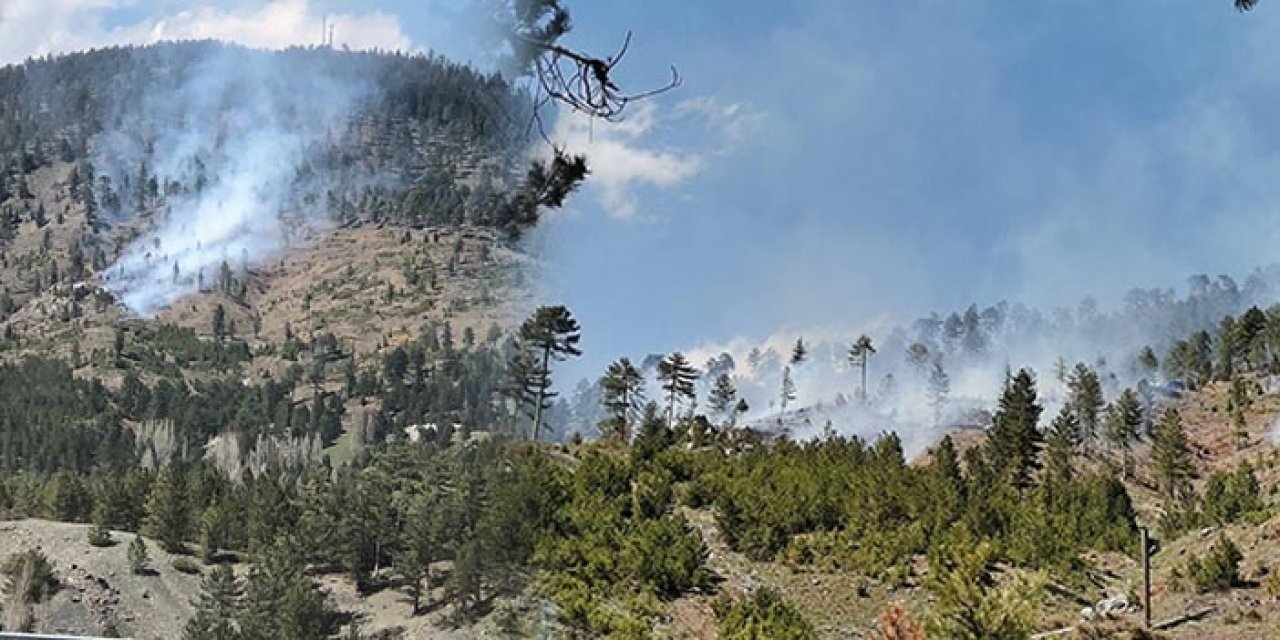 Konya'da orman yangını
