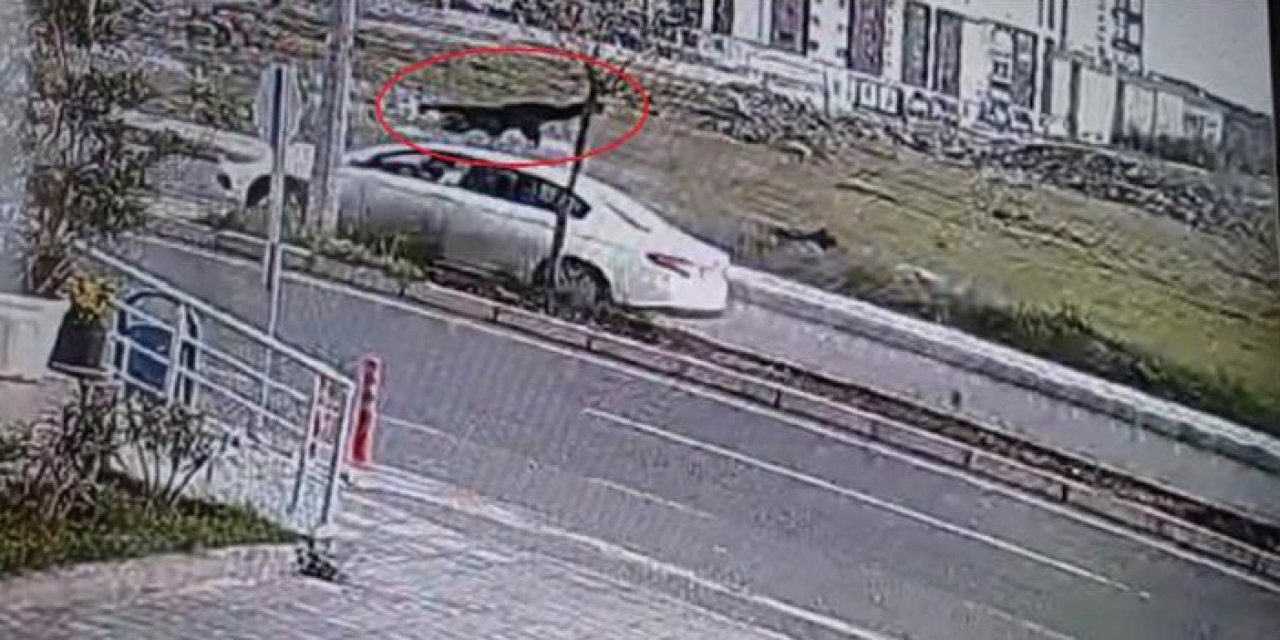 Yolun karşısına geçerken araba çarptı: 1 ölü