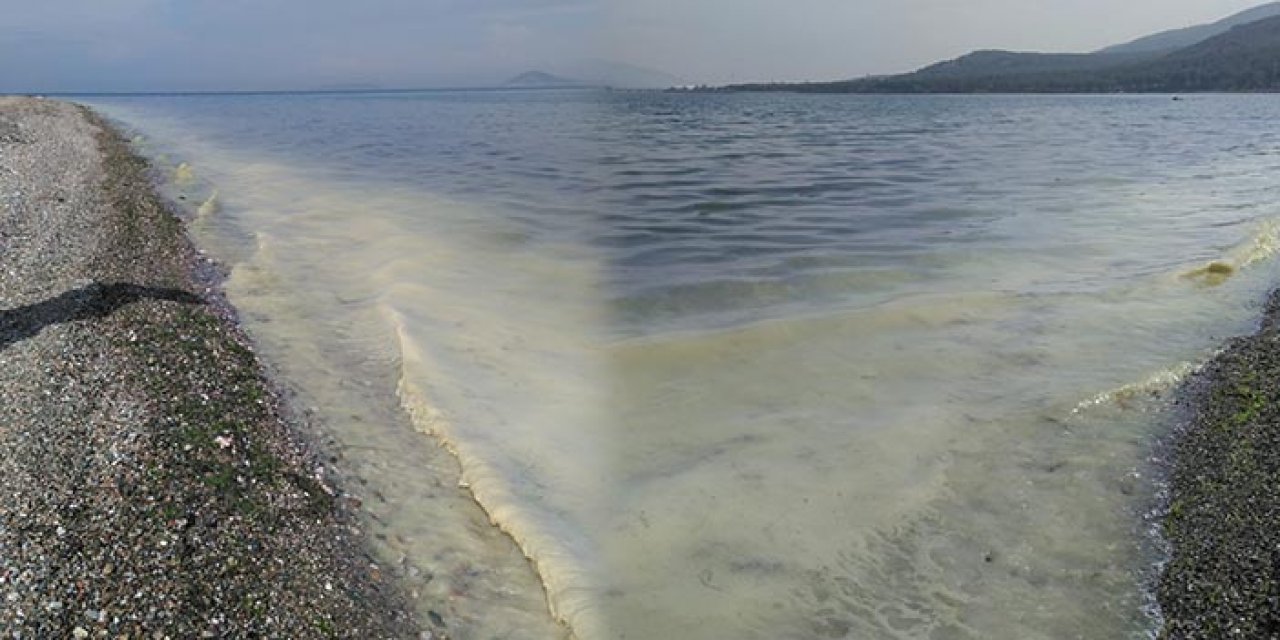 Marmara’da kremsi müsilaj