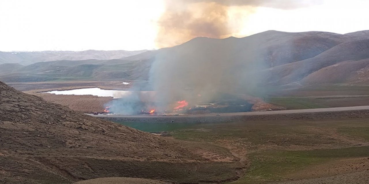 Sazlık alan yandı; Dikkuyruk ördekleri tehlikede