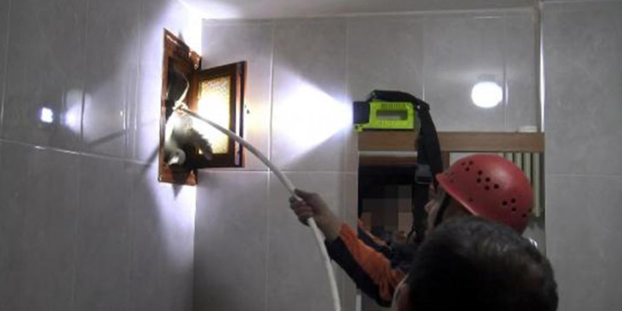 Havalandırma boşluğuna düşen martı kurtarıldı