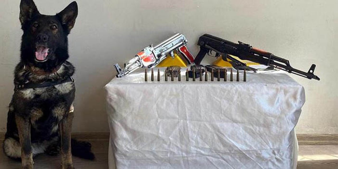 Yolcunun çantasından çıkan şaşırttı