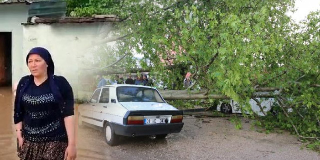 Fırtına çınar ağacını araçların üzerine devirdi
