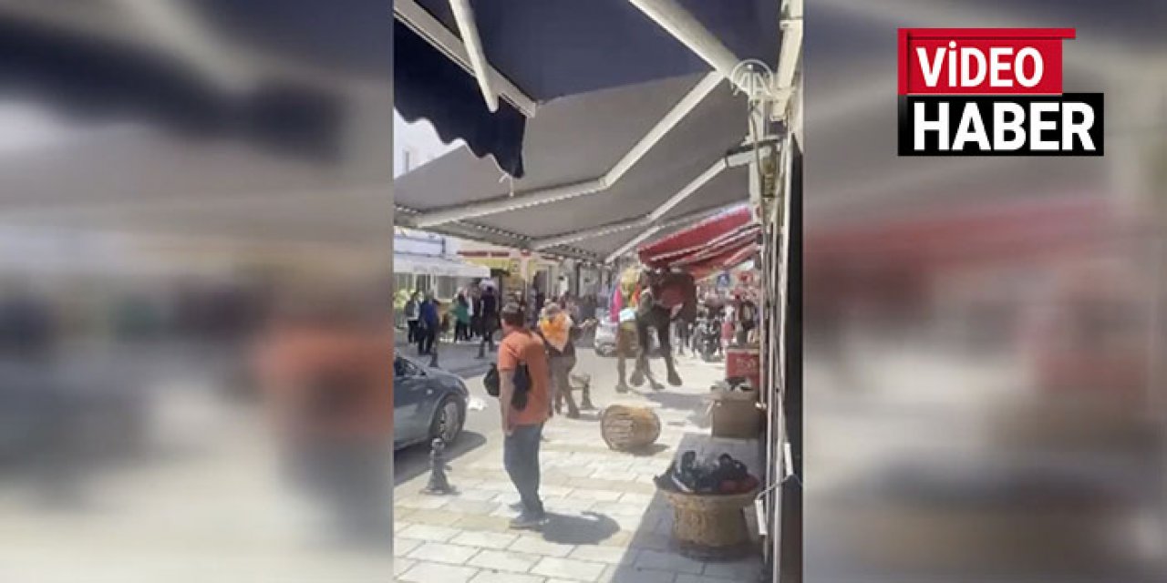 Bodrum’da deve çevreye panik yaşattı