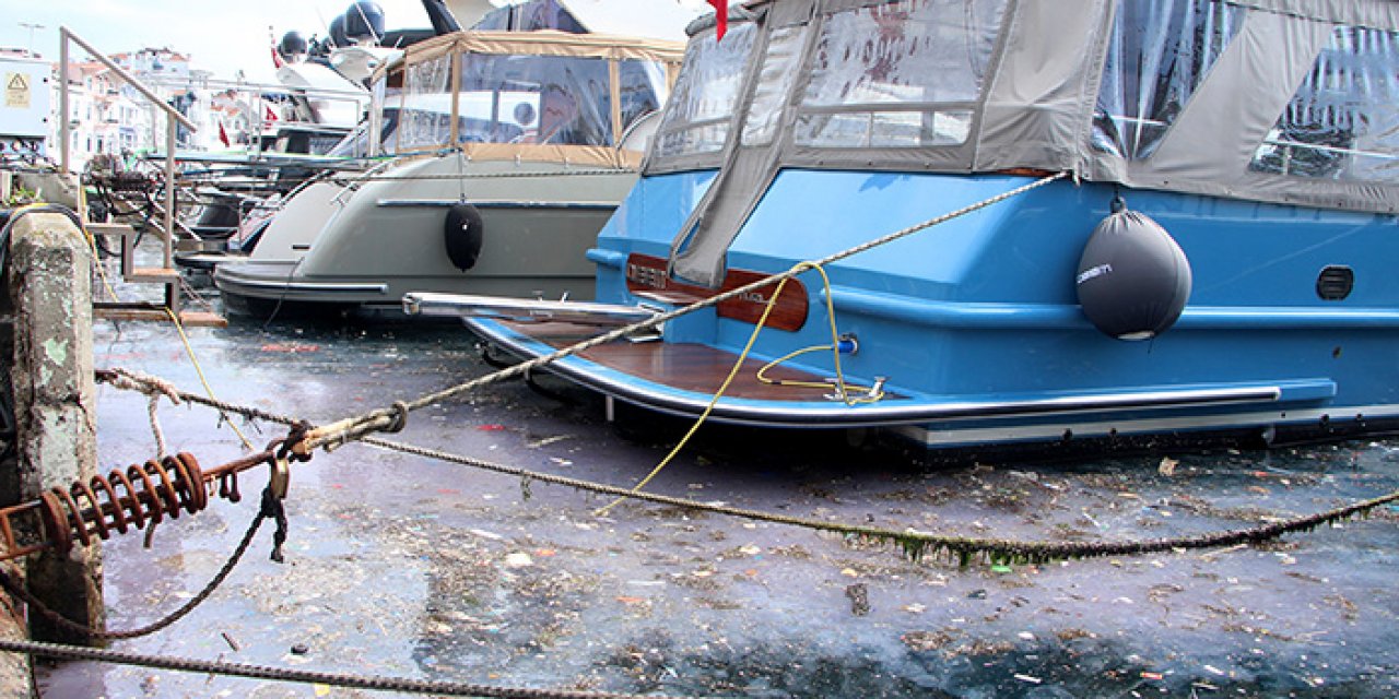 Arnavutköy sahilinde kirlilik tepki çekiyor