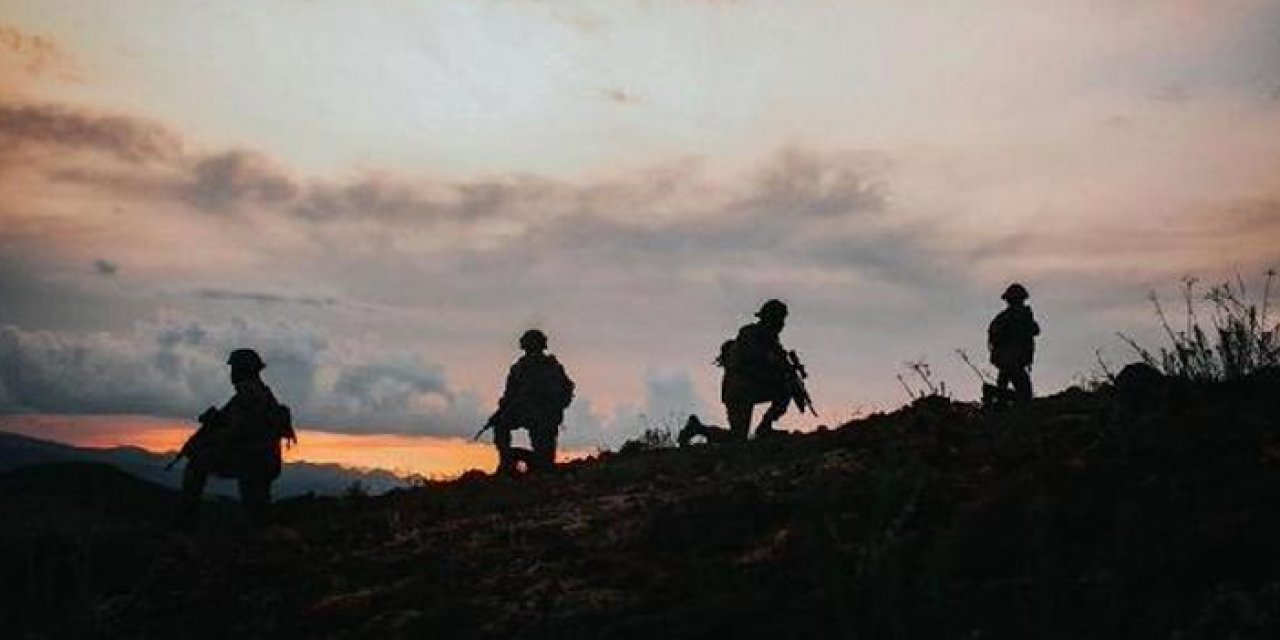 2 PKK'lı terörist teslim oldu