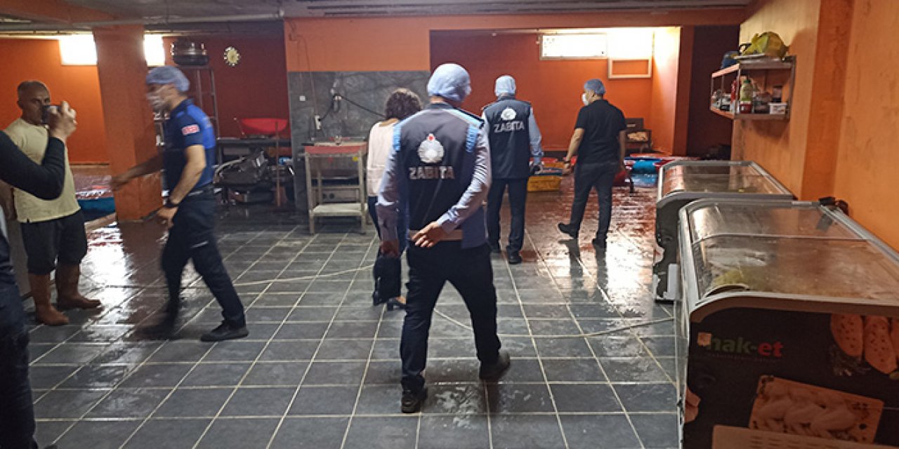 Sakatat deposuna baskın