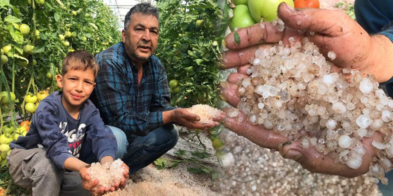 Çiftçinin mahsüllerini dolu vurdu