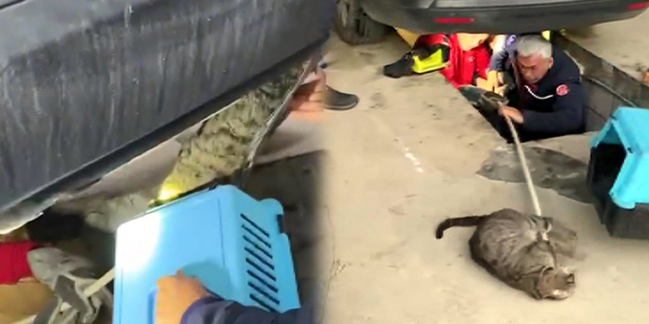 İstanbul’da otomobilin altına giren kedileri itfaiye kurtardı