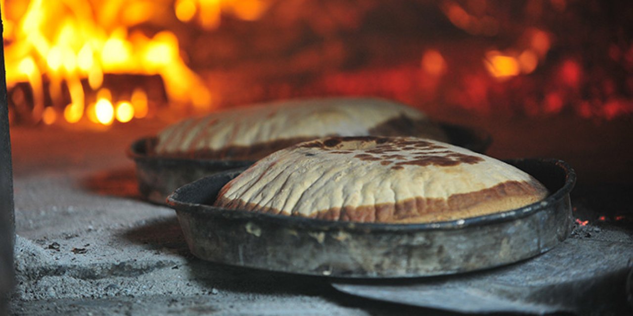 Kış uykusundan uyanan ayılar için özel fırın