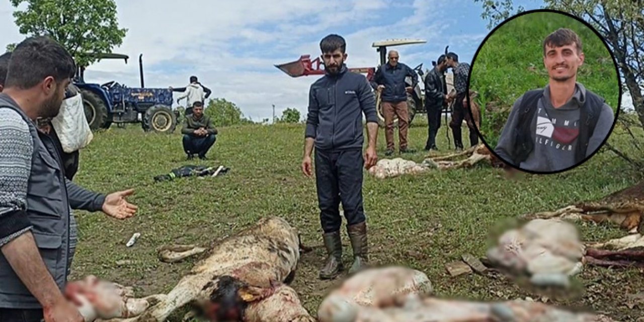 Diyarbakır’da yıldırım düştü; 5 inek ölü çoban ağır yaralı