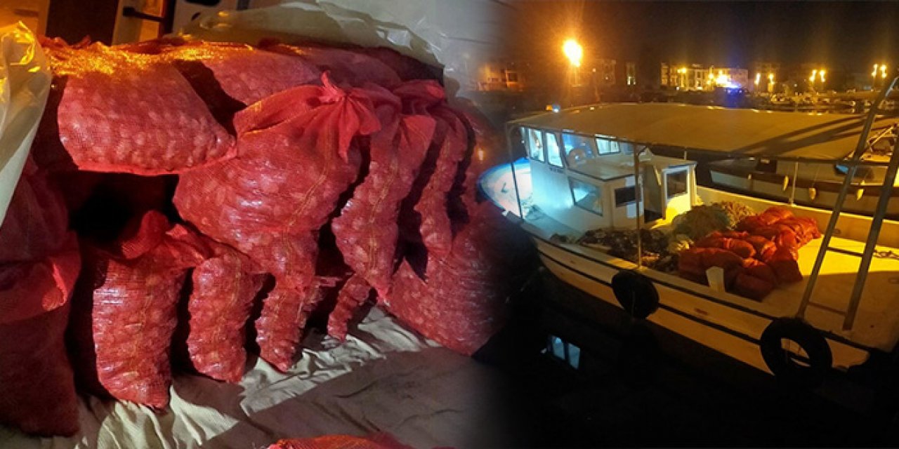 1.5 ton kum midyesini kaçırırken suçüstü yakalandılar