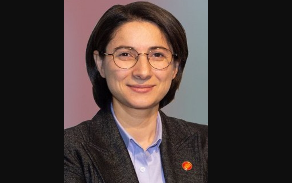 Aysel Tekerek kimdir? Aysel Tekerek nereli ve kaç yaşında?