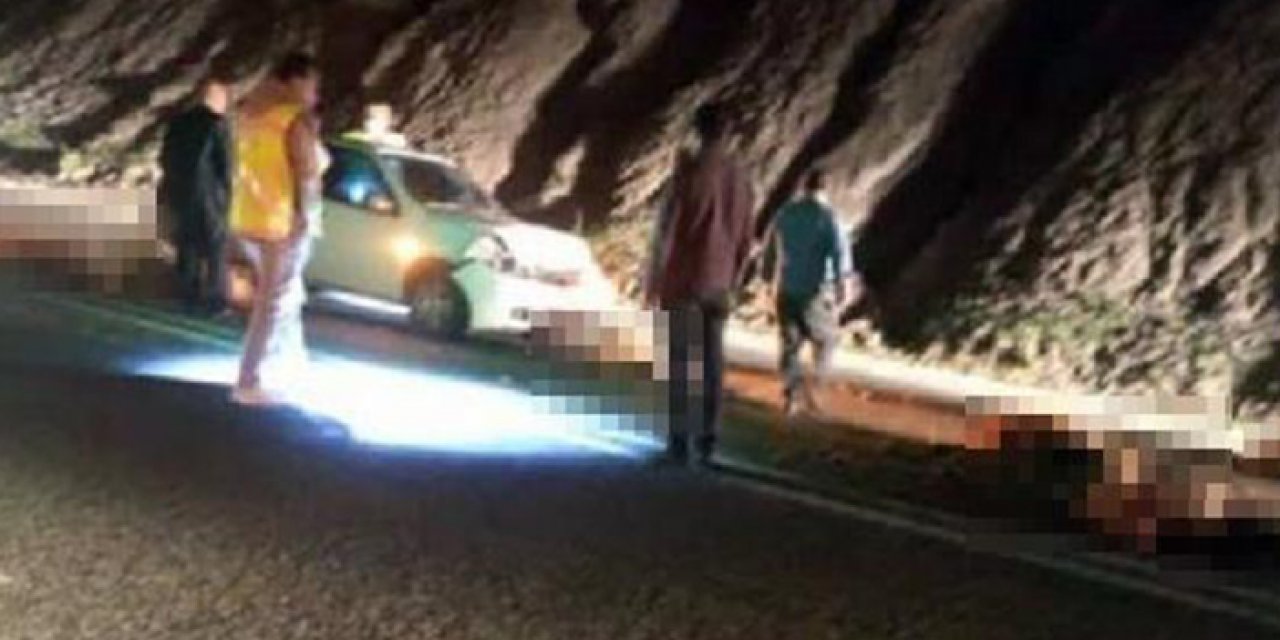 Otomobil’in çarptığı 17 koyun telef oldu