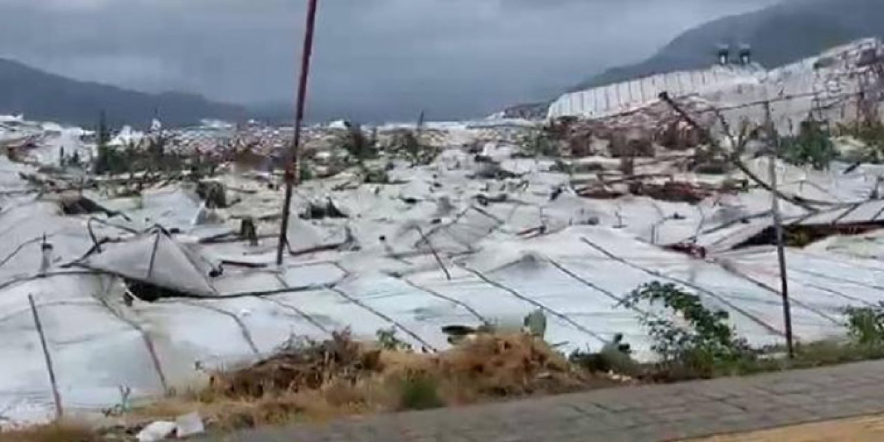 Şiddetli rüzgâr seraları yıktı