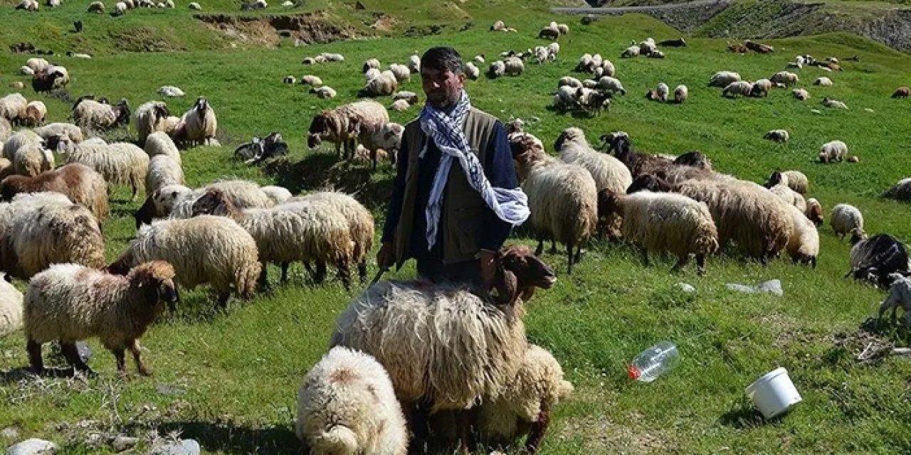 Muşlu besicilerin dönüş yolculuğu başladı