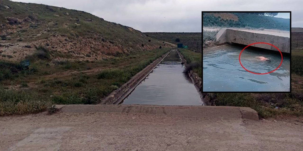 TikTok’a video çekmek isterken canından oldu