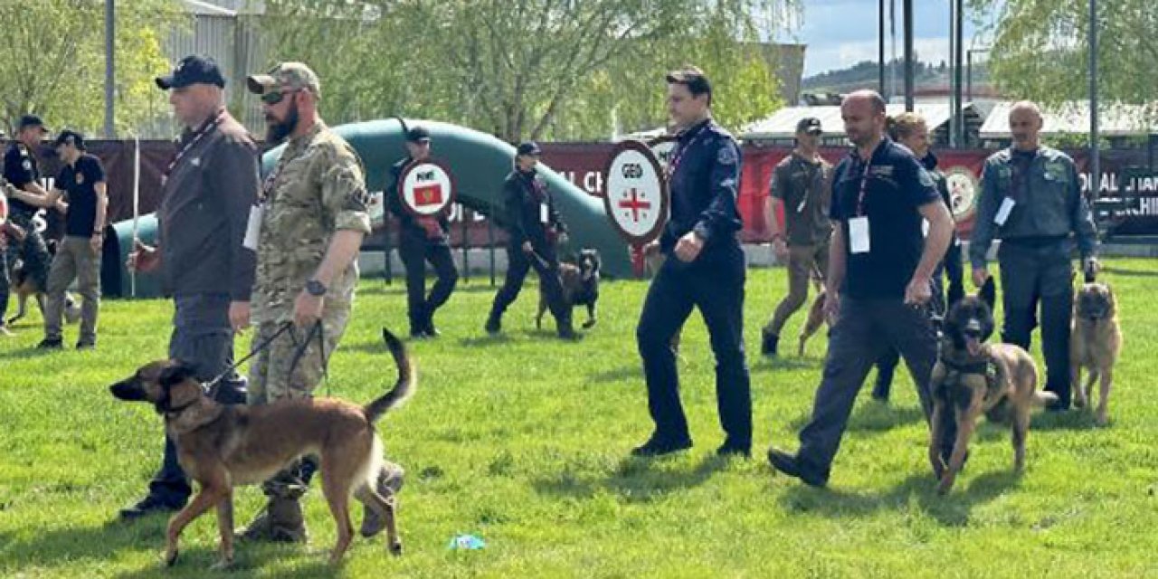 10 farklı ülkenin köpekleri Ankara’da yarışıyor