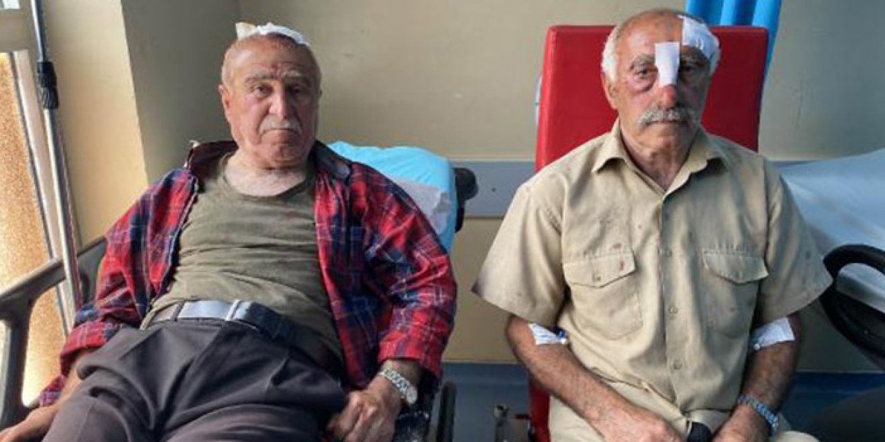 Çobanlar muhtar ve köylüye saldırdı