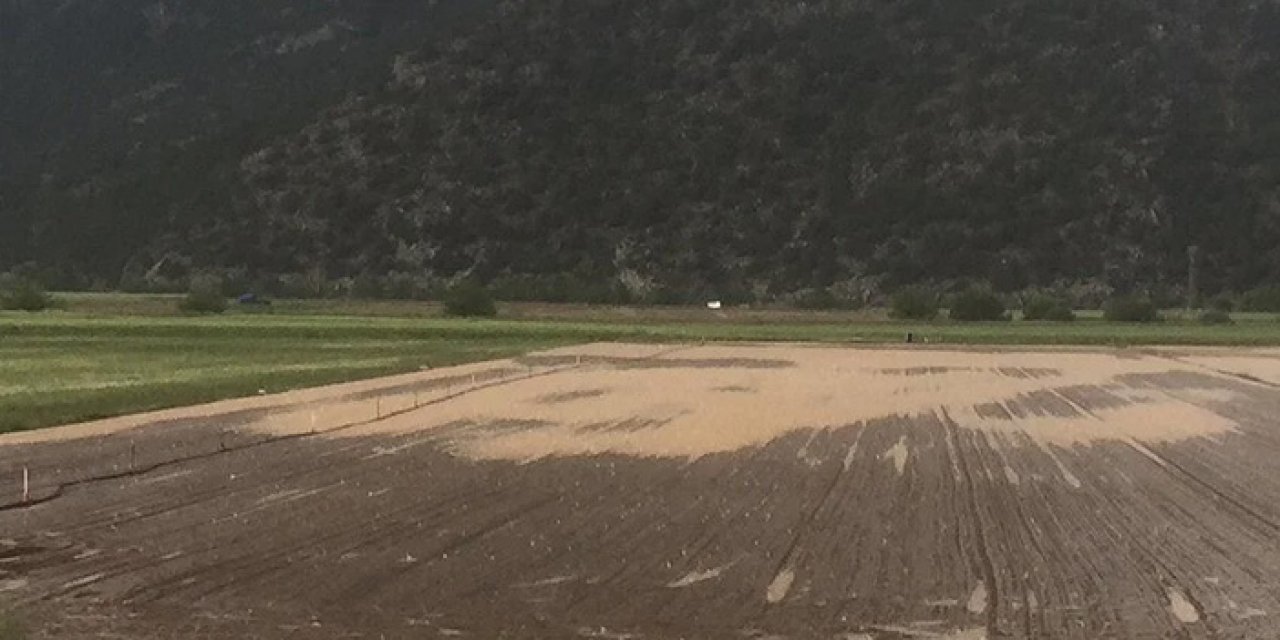 Konya'da tarım arazisi su altında kaldı